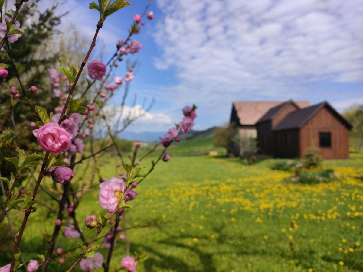 Organicle Lodge Sincraieni Bagian luar foto