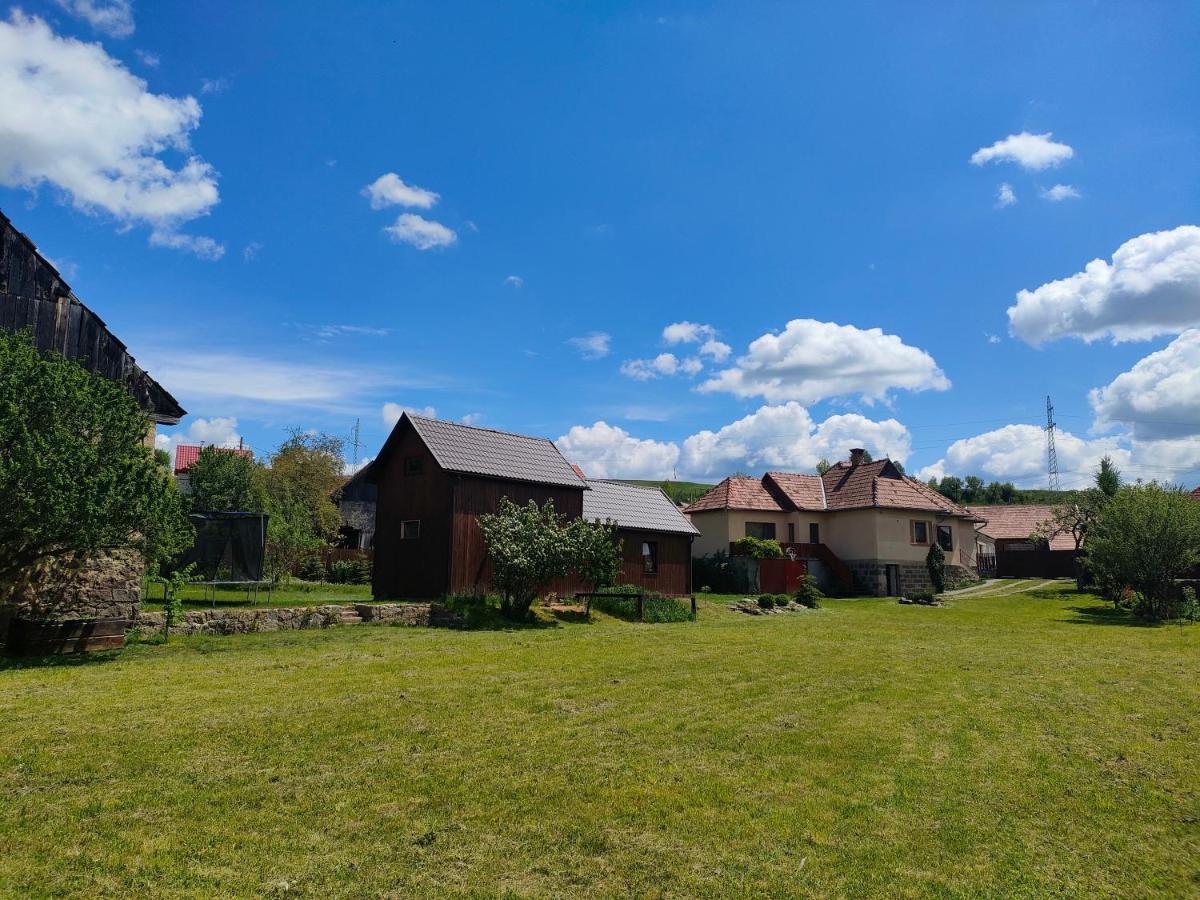 Organicle Lodge Sincraieni Bagian luar foto