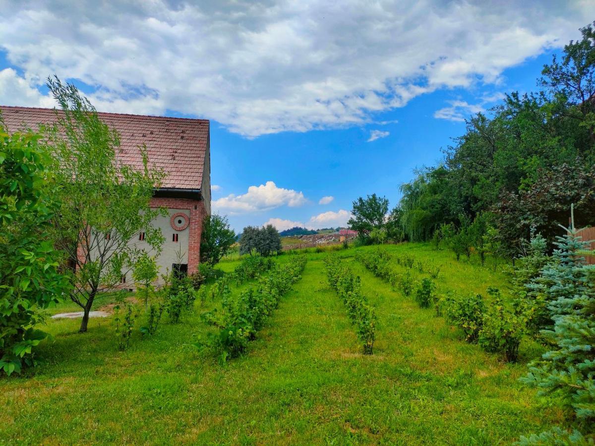 Organicle Lodge Sincraieni Bagian luar foto